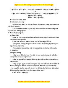 Giáo án Tin học 3 Cánh diều Bài 2: Cây thư mục