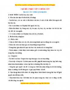 Giáo án TNXH 1 Chân trời sáng tạo Cây xung quanh em