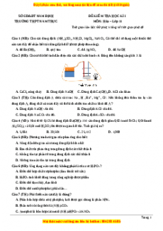 Đề thi học kì I Hóa lớp 11 trường THPT Nam Trực - Nam Định