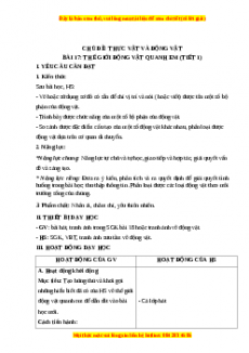 Giáo án Bài 17: Thế giới động vật xung quanh em Tự nhiên và xã hội lớp 3 Chân trời sáng tạo