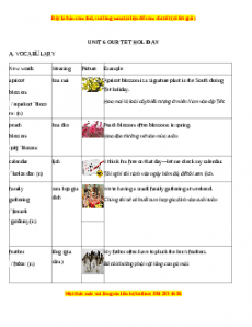 Unit 6: OUR TET HOLIDAY - Luyện chuyên sâu Ngữ pháp và Bài tập tiếng Anh 6