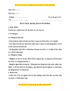 Giáo án Sinh học 10 Bài 9 (Kết nối tri thức): Thực hành quan sát tế bào