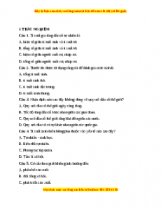 Đề thi giữa kì 2 Địa lí 10 Kết nối tri thức (Đề 1)