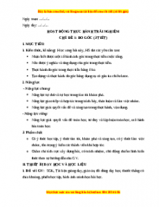 Giáo án Hoạt động thực hành trải nghiệm Toán 10 Cánh diều