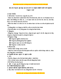 Giáo án Bài 35 KHTN 6 Kết nối tri thức (2024): Thực hành: Quan sát và phân biệt một số nhóm thực vật