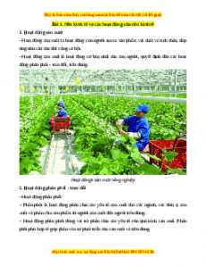 Lý thuyết Kinh tế pháp luật 10 Chân trời sáng tạo (cả năm)