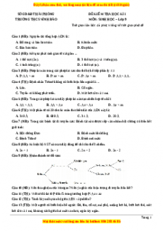 Đề thi học kì 1 Sinh học 9 năm 2023 Phòng GD_ĐT Vĩnh Bảo - Hải Phòng