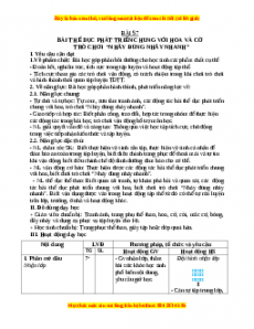 Giáo án TD phát triển chung với cờ và hoa Gdtc 3 Chân trời sáng tạo