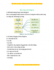 Lý thuyết Công nghệ 7 Cánh diều Bài 2: Quy trình trồng trọt