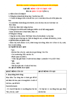 Giáo án Bài 16: Hoa và quả Tự nhiên và xã hội lớp 3 Chân trời sáng tạo