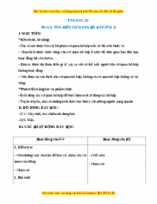 Giáo án Tìm hiểu cơ quan hô hấp Tự nhiên xã hội 2 Kết nối tri thức
