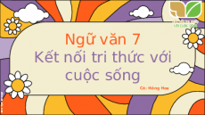 Bài giảng điện tử Thực hành Tiếng Việt Số từ | Kết nối tri thức Ngữ văn 7