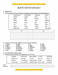 Bài tập Unit 6: OUR TET HOLIDAY - Giáo viên Lưu Hoằng Trí đầy đủ đáp án