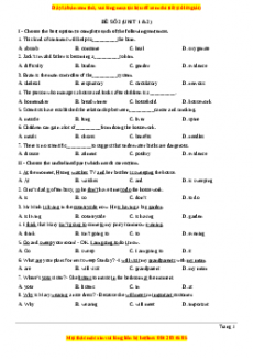 Đề học kì 1 Tiếng anh 10 năm 2023 có đáp án