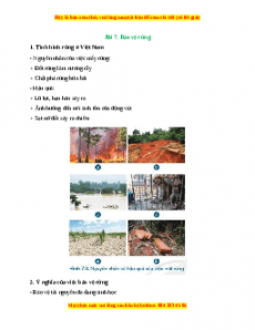 Lý thuyết Công nghệ 7 Cánh diều Bài 7: Bảo vệ rừng