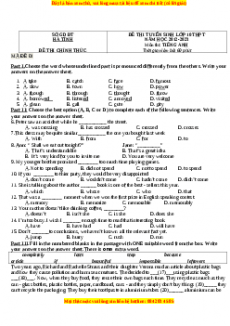 Đề thi vào 10 Tiếng Anh chính thức năm 2022 - 2023 (Đề 39)