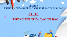 Giáo án Powerpoint Bài 12: Sinh học 10 Cánh diều: Thông tin giữa các tế bào
