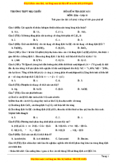 Đề thi học kì I Hóa lớp 11 trường THPT Nhị Chiểu - Hải Dương