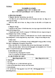 Giáo án Tự nhiên và xã hội 3 Kết nối tri thức Bài 17: Ôn tập chủ đề thực vật và động vật