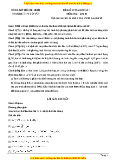 Đề thi học kì I Hóa lớp 11 trường THPT Gò Vấp - TP. Hồ Chí Minh