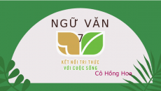 Bài giảng điện tử Đi lấy mật | Kết nối tri thức Ngữ văn 7