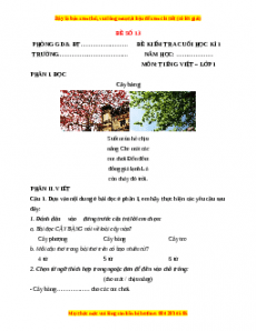 Đề thi Tiếng Việt lớp 1 Học kì 1 Chân trời sáng tạo (Đề 13)