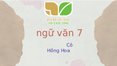 Bài giảng điện tử Thực hành đọc Trong lòng mẹ | Kết nối tri thức Ngữ văn 7