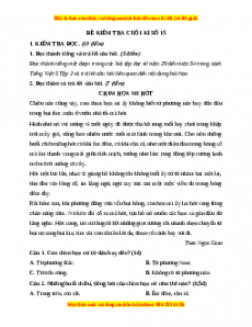 Đề thi cuối kì 2 Tiếng Việt lớp 5 năm 2023 (Đề 15)