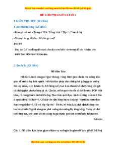 Đề thi giữa kì 2 Tiếng Việt lớp 2 Cánh diều (Đề 1)