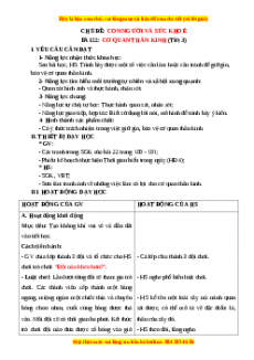 Giáo án Bài 22: Cơ quan thần kinh Tự nhiên và xã hội lớp 3 Chân trời sáng tạo