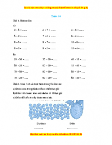 Bài tập cuối tuần Toán lớp 1 Tuần 34 Cánh diều (có lời giải)