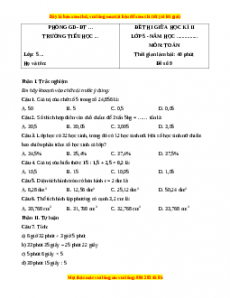 Đề thi giữa kì 2 Toán 5 năm 2023 (Đề 9)