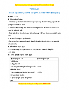 Giáo án Chăm sóc, bảo vệ cơ quan bài tiết nước tiểu Tự nhiên xã hội 2 Kết nối tri thức