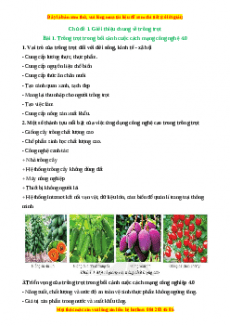 Lý thuyết Công nghệ 10 Trồng trọt Cánh diều