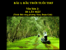 Giáo án powerpoint Đi lấy mật | Kết nối tri thức Ngữ văn 7