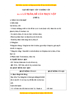 Giáo án Bài 15: Lá, thân, rễ của thực vật (Tiết 3) Tự nhiên và xã hội lớp 3 Chân trời sáng tạo