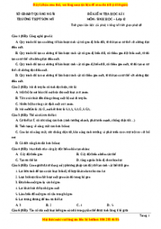 Đề thi học kì 1 Sinh học 12 năm 2023 trường THPT Sơn Mỹ - Quảng Ngãi