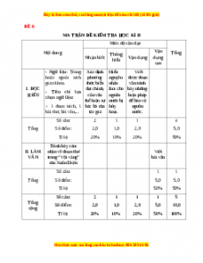 Đề thi cuối kì 2 Ngữ văn 11 (Đề 6)
