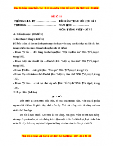 Đề thi cuối kì 2 Tiếng Việt lớp 5 năm 2023 (Đề 38)