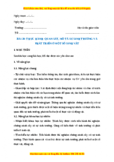 Giáo án Sinh học 7 Kết nối tri thức Bài 38: Thực hành quan sát, mô tả sự sinh trưởng và phát triển ở một số sinh vật