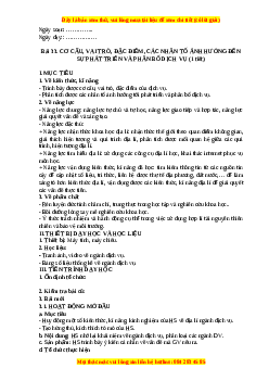 Giáo án Bài 33 Địa lí 10 Kết nối tri thức (2024): Cơ cấu, vai trò, đặc điểm, các nhân tố ảnh hưởng đến sự phát triển và phân bố dịch vụ