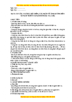 Giáo án Bài 33 Địa lí 10 Kết nối tri thức (2024): Cơ cấu, vai trò, đặc điểm, các nhân tố ảnh hưởng đến sự phát triển và phân bố dịch vụ