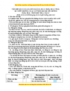Giáo án Tập hợp hàng ngang, dóng hàng, quay phải, quay trái. Đi VC ngại vật thấp. Đi chuyển hướng phải trái Gdtc 3 Chân trời sáng tạo