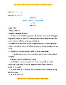 Giáo án TNXH 1 Kết nối tri thức Tuần 22