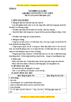 Giáo án Tự nhiên và xã hội 3 Cánh diều Bài 15: Cơ quan tiêu hóa