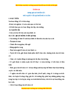 Giáo án HĐTN  1 Cánh diều Tuần 20