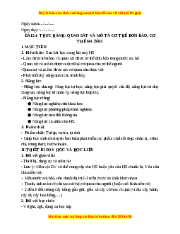Giáo án Bài 24 KHTN 6 Kết nối tri thức (2024): Thực hành: Quan sát và mô tả cơ thể đơn bào, cơ thể đa bào