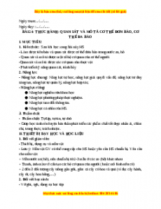 Giáo án Bài 24 KHTN 6 Kết nối tri thức (2024): Thực hành: Quan sát và mô tả cơ thể đơn bào, cơ thể đa bào