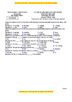 Đề thi vào 10 Tiếng Anh chính thức năm 2022 - 2023 (Đề 32)