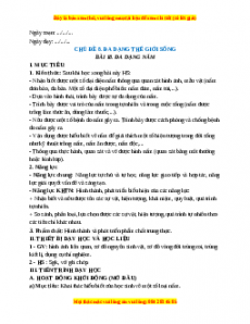 Giáo án Bài 18 KHTN 6 Cánh diều (2024): Đa dạng nấm